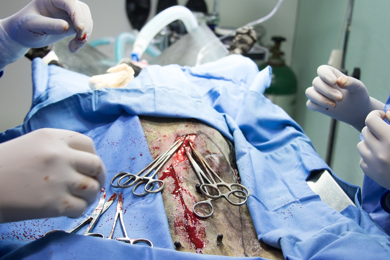 PostSecondary Educational Institution Offering Healthcare Instruction